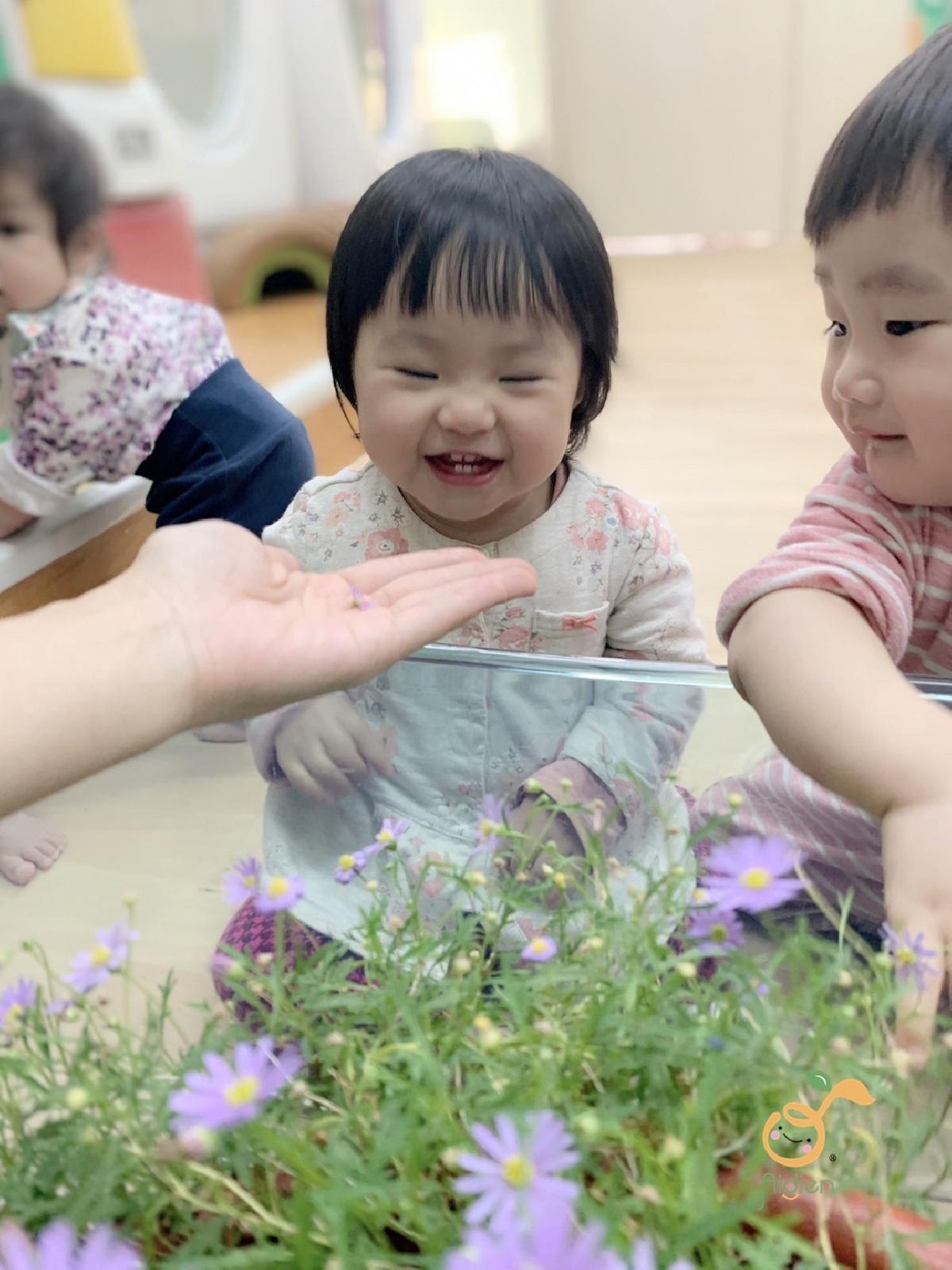 DoRe賞花趣